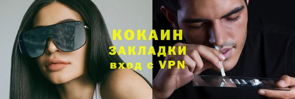 крисы Богданович