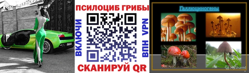 закладка  Кола  Псилоцибиновые грибы ЛСД 